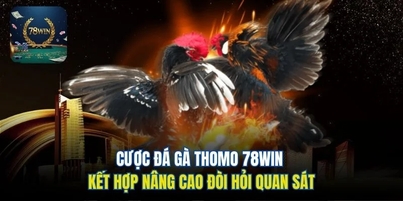 Cược đá gà Thomo 78win kết hợp nâng cao đòi hỏi quan sát